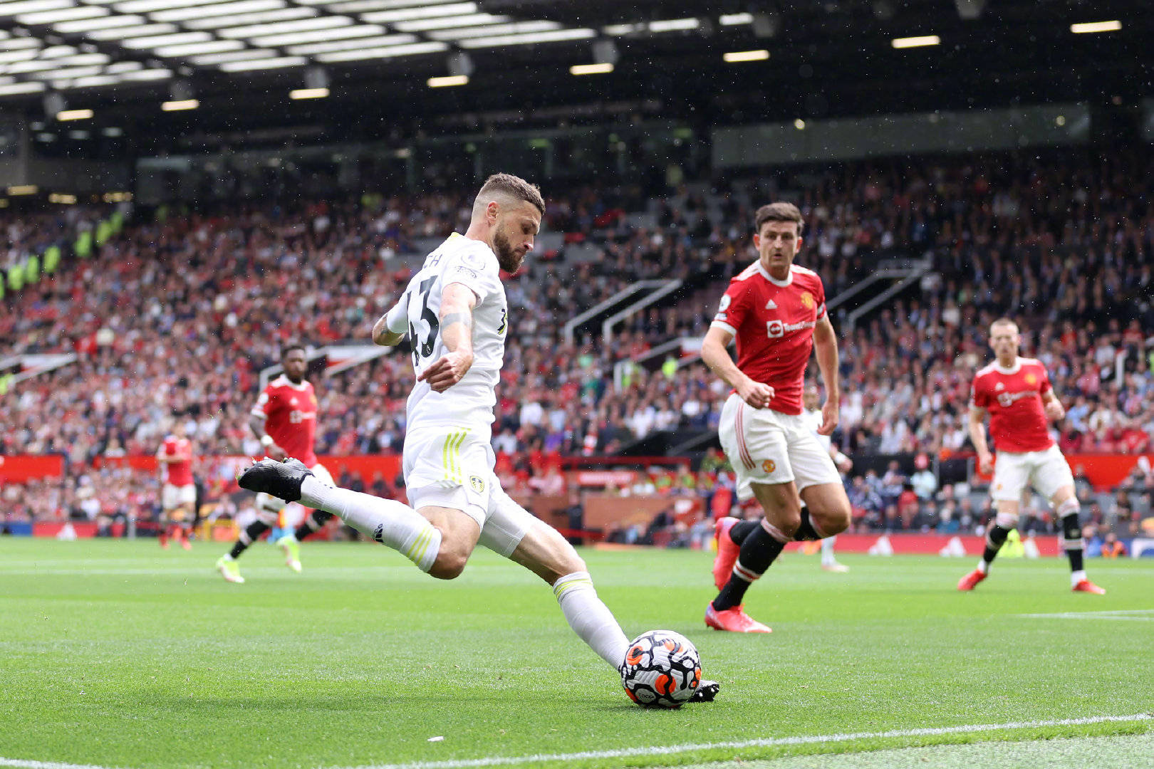 更能提高自 更能提高自